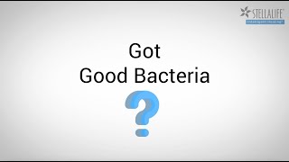 Got Good Bacteria [upl. by Falda]