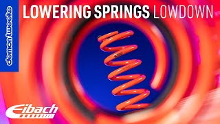 Lowering Springs Everything You Need to Know  Eibach x Demon Tweeks [upl. by Asilav]