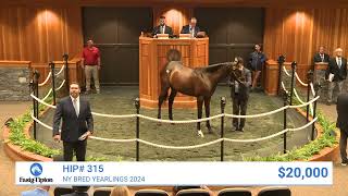 Constitution colt sells for 300000 at NY Bred Yearlings 2024 [upl. by Tekcirc219]