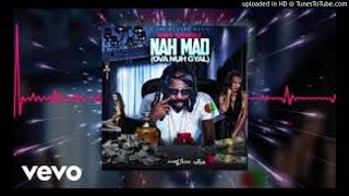 Munga Honorable  Nah Mad Ova Nuh Gyal Clean [upl. by Naitsihc773]