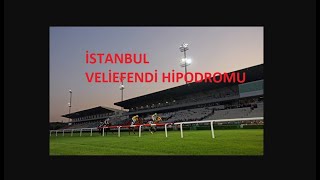 23 EKIM 2024 ISTANBUL 1VE 2ALTILI GANYAN TAHMINLERI CARSAMBA PREMIUM STAR OZEL [upl. by Lyred]