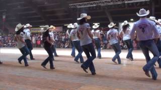 ONE HUNDRED line dance  Wild Country  Voghera 2017 [upl. by Ahsircal]