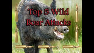 Top 5 Wild Boar Attacks 2020 Best Wild Boar Hunting [upl. by Pineda153]