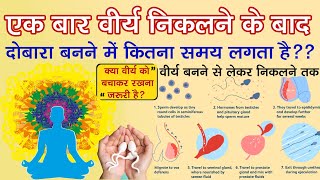 वीर्य बनने में कितना समय लगता है  Veerya Banne Me Kitna Samay Lagta Hai  Spermatogenesis Time [upl. by Sunda]