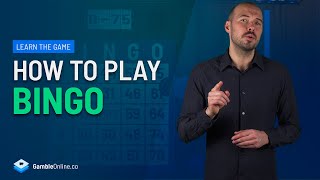 How to Play Bingo for Beginners  Casino Game Tutorials [upl. by Ikkir864]