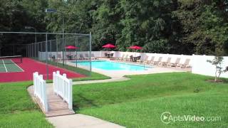 Woodlake Village and Waterpointe Apartments in Midlothian VA  ForRentcom [upl. by Campy]