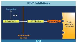 Medications for the Treatment of Parkinsons Disease [upl. by Ellinehc]