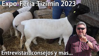 Dorper Pelibuey KatahdinTips entrevistas y mas en ExpoFeria Tizimín 2023 [upl. by Ttayh]