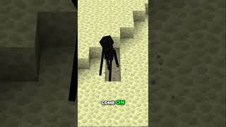 How I Defeated Endermen and Got Enderpearls Fast [upl. by Yrokcaz]