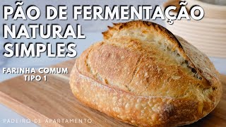 Pão Italiano com Fermentação Natural usando Farinha Comum Tipo 1 [upl. by Rita]