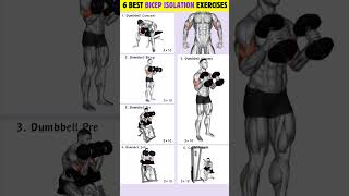 6 Biceps Isolation Workout To Build Stronger amp Bigger Biceps workout bicepsworkout [upl. by Coombs]