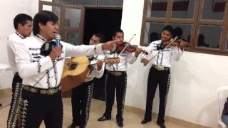 Mariachi Trompetas de América [upl. by Eelaroc668]