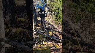 Ouch Smacked my face on a tree branch making videos can hurt bigfoot cadborosaurus [upl. by Jarret337]