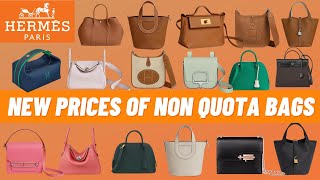 HERMES BAGS PRICE OF 2023  Lindy Bag Picotin Evelyne Herbag Zip etc [upl. by Kyrstin745]