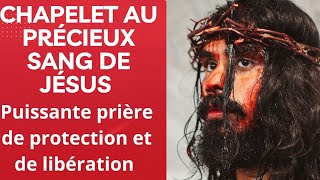 Chapelet du Précieux Sang de Jésus Puissante prière de protection [upl. by Dodie798]