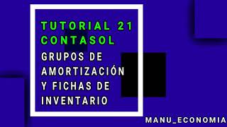 Contasol 21 Crear grupos de amortización y fichas de inventario [upl. by Nnyla]