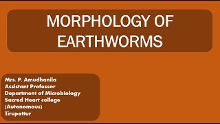 MORPHOLOGYMORPHOLOGY OF EARTHWORMVERMITECHNOLOGYEARTHWORM [upl. by Enajiram26]