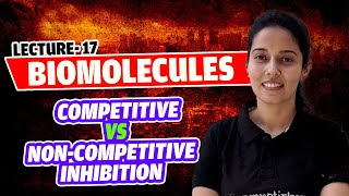 17Enzyme Inhibition Competitive vs NonCompetitive Inhibition Biomolecules NEET Class 11 [upl. by Anayrb]