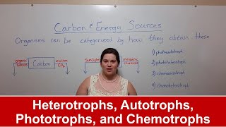 Heterotrophs Autotrophs Phototrophs and Chemotrophs [upl. by Nycila]