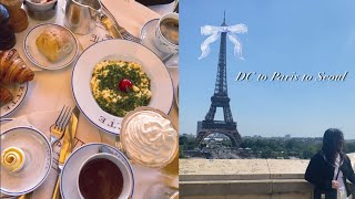 Nursing school diaries  finals week flight to Paris and Korea Carette brunch [upl. by Arvad]