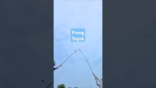 Rebutan layangan mengejarlayanganputus layangan kitefighter [upl. by Graaf]