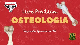 2ª Live Prática de Anatomia Descritiva I 20242 membro toracico [upl. by Yung]