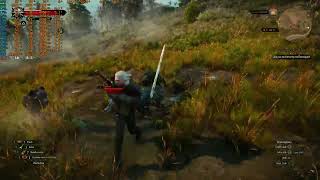 The Witcher 3 Wild Hunt R5600 44 Ghz 32GB Rx6600XT 8 GB [upl. by Yengac]