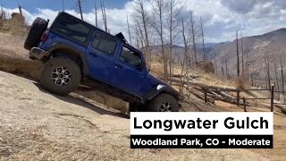 Longwater Gulch  Woodland Park Colorado  Moderate Trail [upl. by Ninehc]