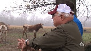 Louisiana Farm Life  Ronnie amp Vivian Anderson [upl. by Aihn]