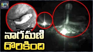 Real Nagamani Original Video on Camera  నాగమణి దర్శనం దొరుకుతుంది  Filmy Maya [upl. by Renie]