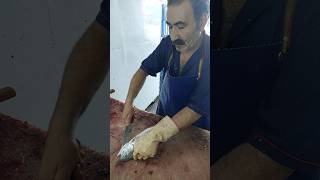 Fish filleting amazing [upl. by Nilved835]