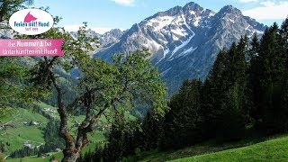 Urlaub mit Hund im Kleinwalsertal dem Kleinod in den Allgäuer Alpen [upl. by Bela]