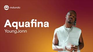 Aquafina  Young Jonn Lyrics Video [upl. by Alleunam]