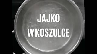 Jajko w koszulce [upl. by Eitteb447]