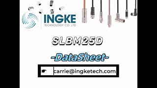 SLBM25D DataSheet  ingkechipscom [upl. by Yekcim]