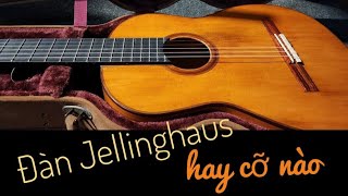 Đàn guitar Jellinghaus HAY CỠ NÀO  xem clip thấy nhói tim [upl. by Lemhar922]