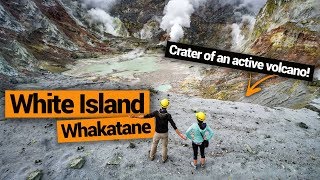 👷🌋 White Island Active Volcano Tour in Whakatane – New Zealands Biggest Gap Year [upl. by Fonz]