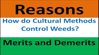 Reasons How do Cultural Methods Control weeds Merits and Demerits [upl. by Ellery]