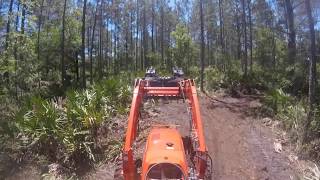 Palmetto removal St Johns County [upl. by Joly]