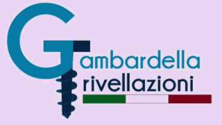 Gambardella Trivellazioni [upl. by Manara]