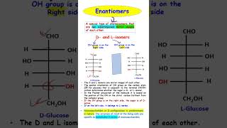 Enantiomers of Monosaccharides carbohydrates biomolecules biochemistry [upl. by Schechinger314]