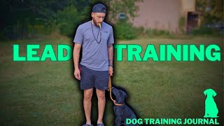 Lead Training a Puppy  Dog Training Journal 6 [upl. by Gorey]