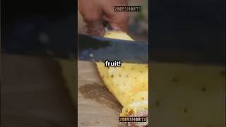 The Secret Life of Pineapples 🍍🤯 facts interestingfacts food foodfacts pineapple fruit fyp [upl. by Finstad]