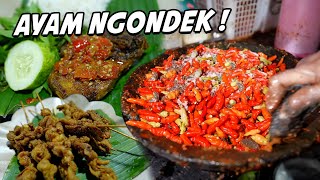 JUALAN AYAM NGONDEK GEGARA ISENG TERNYATA MODALNYA 5 JUTA [upl. by Peck303]