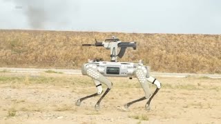 Chinas military shows off rifletoting robot dogs [upl. by Bunder308]