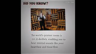 The worlds quietest room explore aesthetic facts shorts [upl. by Notnroht]