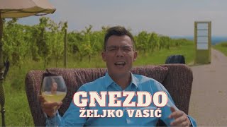 Željko Vasić  Gnezdo Official video 2018 [upl. by Aicirtal101]