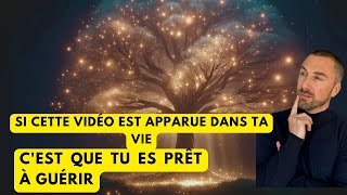 Il Vous GUÉRIT Pendant Votre SOMMEIL🌙Méditation Guidée pour GUÉRIR Soulager le STRESS et lANXIÉTÉ [upl. by Baynebridge]