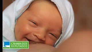 CCJ aprova admissibilidade de PEC contra aborto legal  271124 [upl. by Jeffry]