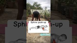 Sphinx pushup  Muscle strength Pushup  shortsfitnessmusclestrength [upl. by Einnal]